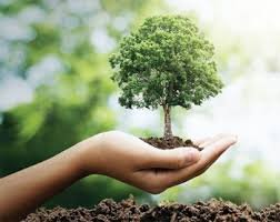 দুর্গতদের সাহায্য প্রদান